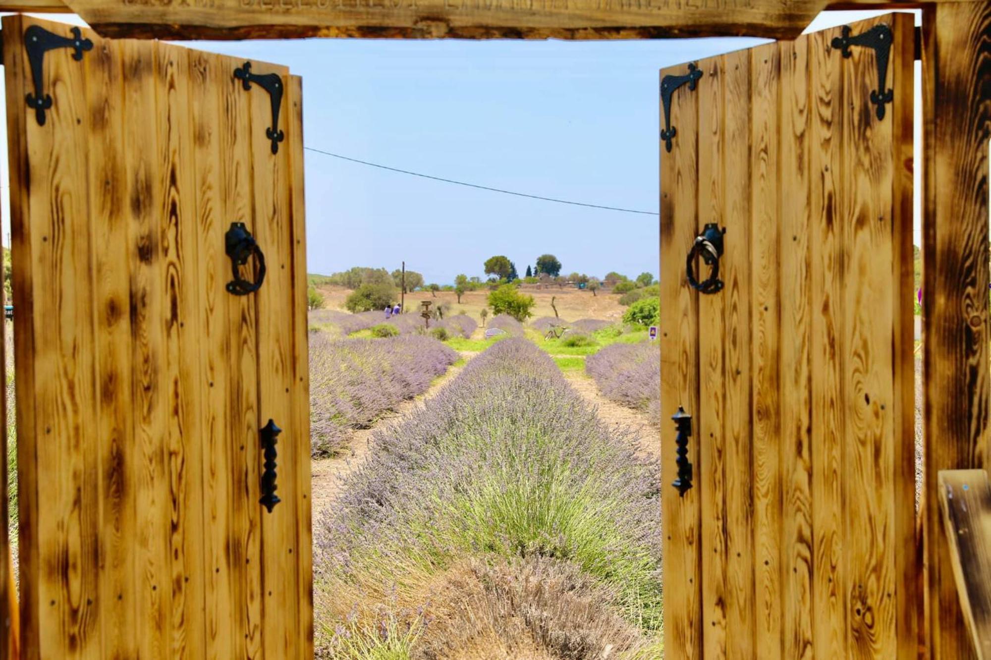 Apart Daire Didim Dış mekan fotoğraf